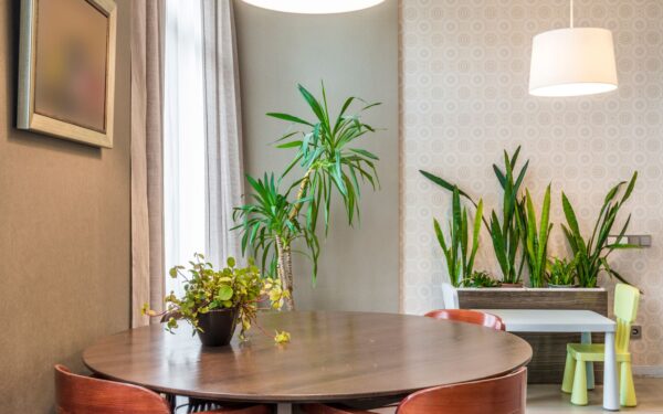 Hverdagsvennlig spisestue: slik får du en innbydende spiseplass som faktisk brukes
