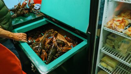 Slik får du en mer oversiktlig fryser uten å kjøpe nye bokser