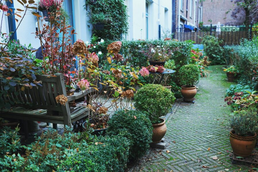 Hovedillustrasjon