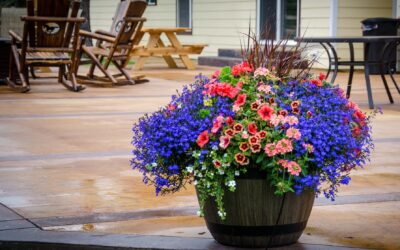 Skyggefull uteplass med blomster: planter og løsninger som faktisk fungerer