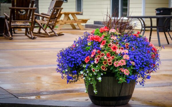 Skyggefull uteplass med blomster: planter og løsninger som faktisk fungerer
